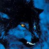   werwolf-eine